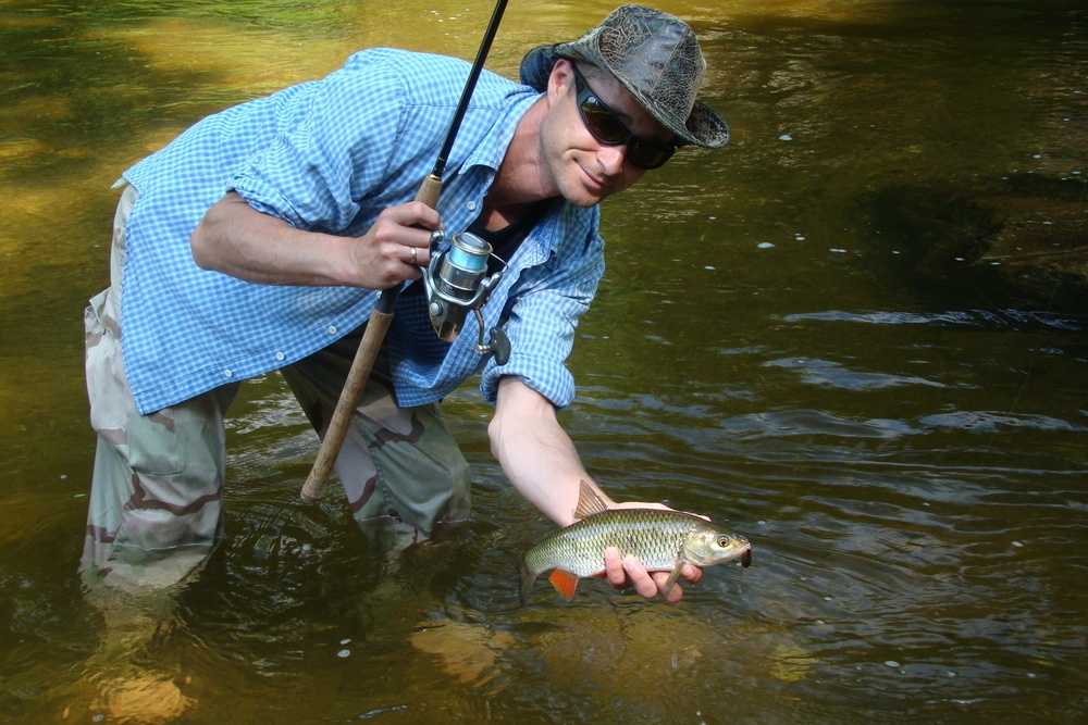 Czas letniej kanikuły